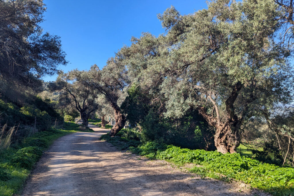 Ruta de interpretación a Lacipo (Semana de Andalucía en Casares 2026)