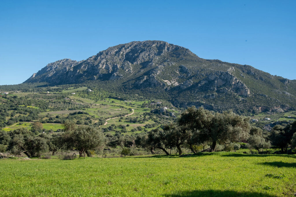 Ruta de interpretación a Lacipo (Semana de Andalucía en Casares 2026)